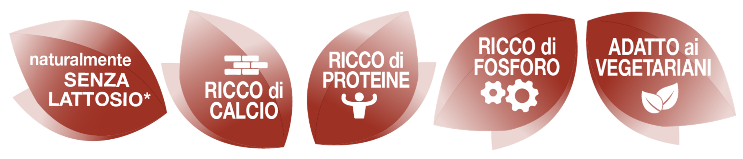 AperiFette Tris di pepi_foglie nutrizionali